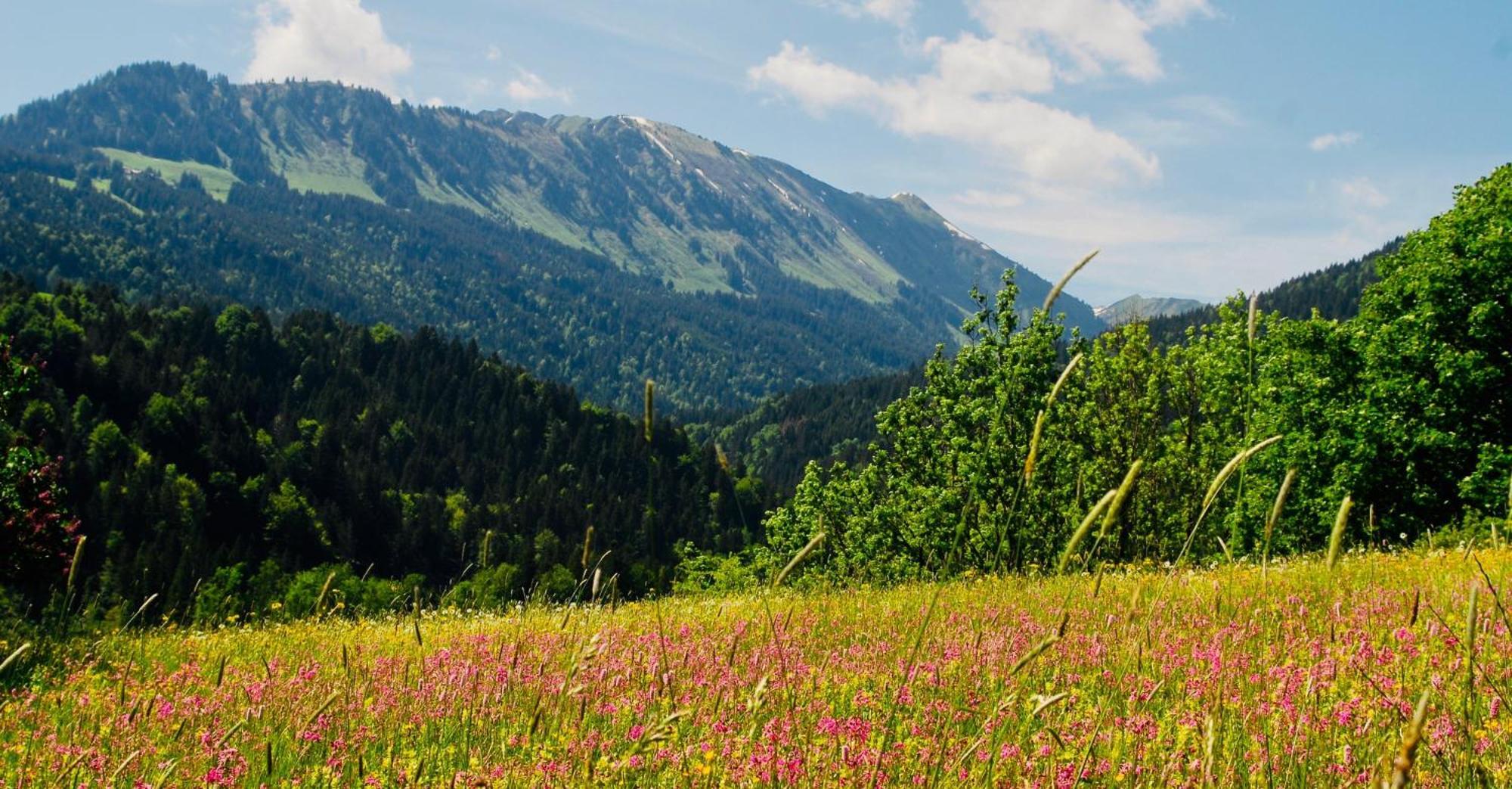 Apartmán Winkelhof Oberstdorf Exteriér fotografie